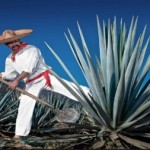 Tour del Tequila Tour