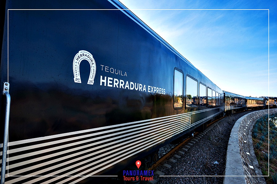 Tren Tequila Herradura Express
